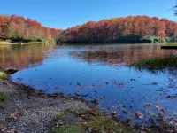 Get 'WilderMcFaddenRidge mins from New River Gorge Nat'l Park w/hot tub! - 4-Star