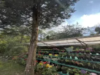 Ifseen Villa - Parkplatz