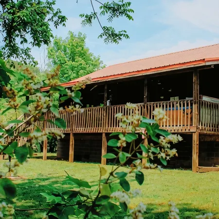"Sweet Life" Log Cabin Creekside, Trout Fishing, Foosball, Hot Tub and Firepit