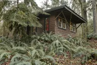 Cozy Rustic 20 minutes to Mt Baker walk to town, hot tub, High Speed Internet - Wifi