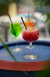 Imola Udvarház Dessert Hotel - bars