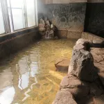 Business Hotel New Ozai - con terme