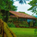 Los Naranjos Town Houses - 3 estrellas