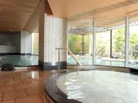 Hotel Wellseason Hamanako - Suối nước nóng