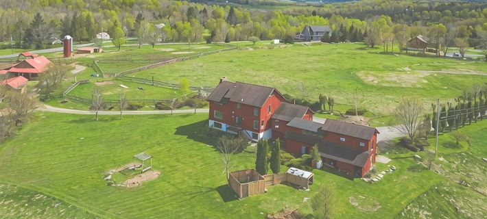 Dancing Horse Farm - 9Br Catskills Lodge on 30 Acres Ξενοδοχεία στην πόλη Windham
