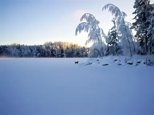 Rantakoto Hotels in Nordsatakunta