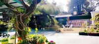 Olive Greens Homestay