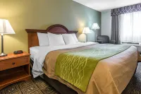 Comfort Inn فنادق في New Cumberland