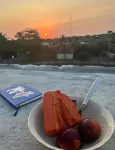 Mayan Surf Hotel