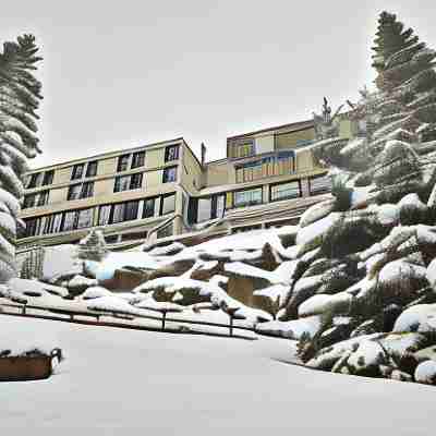 Terminal Neige - Totem Hotel Exterior