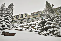 Totem, Friendly Hotel & Spa Hotels in Flaine