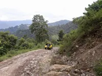 Vamoosetrail Lingzey Hotels in East Sikkim