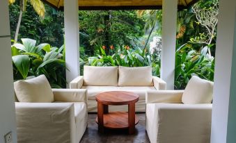 Sweet Cinnamon Kandy - Housity
