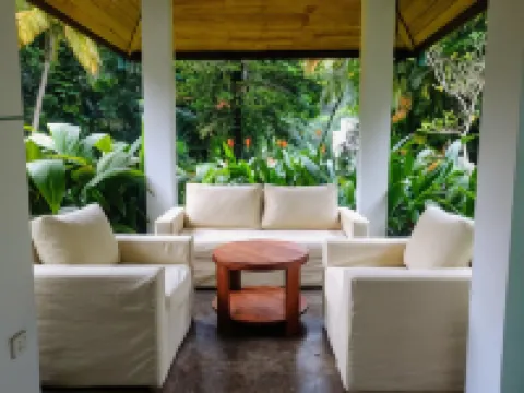 스위트 시나몬 칸디