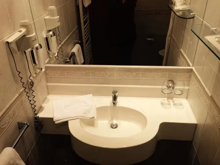 Hotel Goldner Loewe Отели в г. Цайц