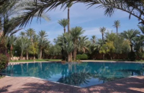 俱樂部帕爾默拉度假村