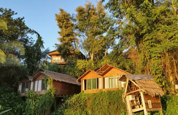 瓦賽普爾託瑪爾多納多生態旅館