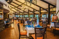 Premier Hotel the Winkler - Pet-friendly