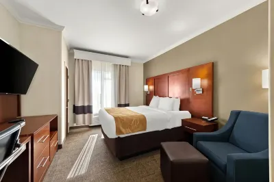 Comfort Suites Central Hotels in Corpus Christi