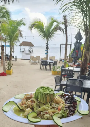 Hotel Machos Mahahual