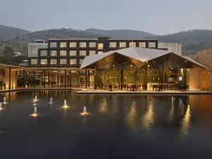 Marasa Sarovar Premiere