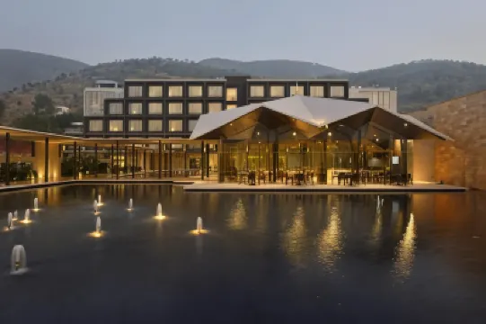 Marasa Sarovar Premiere Hotels in 