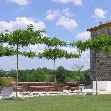 Domaine de l'Isle Basse