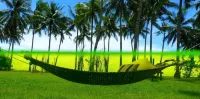 SomeWhere Else Boutique Resort