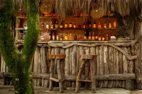 クレイジー ゲッコ リゾート