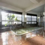 Hijiori Onsen Otomoya Ryokan Hotels in Oishida