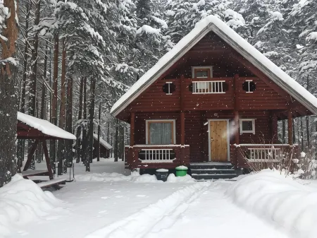Baza Otdykha Green Village Отели в г. Овраги