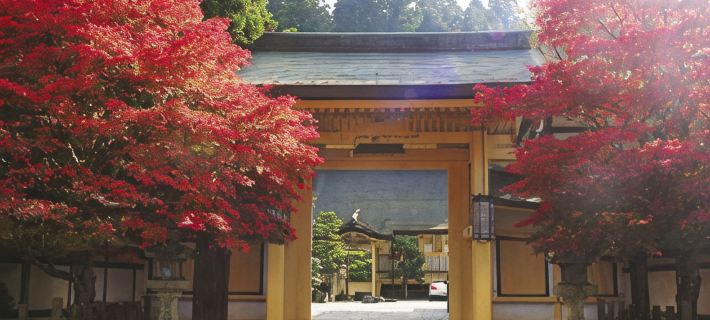 Koyasan Shukubo Sainanin Hotels in Ito District