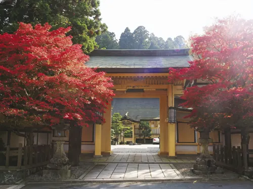 Koyasan Shukubo Sainanin - 2-Star