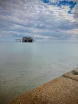 The Brighton Hotel - Kæledyr tilladt