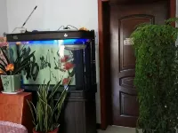 Spring Festival Homestay Hotels in Jianping