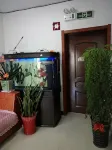 Spring Festival Homestay