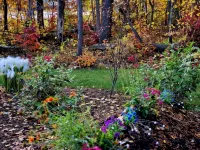 Posh Pelican House is guest favorite in quaint resort town of Breezy Point!