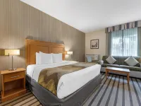 Best Western King George Inn  Suites - Gym