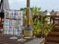 Time out in the Rheinhessen vineyards Hotels in Hackenheim
