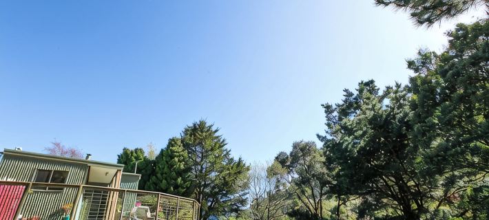 Escape to Valley View Nature Retreat – A Hidden Sanctuary in Apollo Bay Apollo Bay otelleri