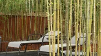 Xiao Senlin Resort Hotel