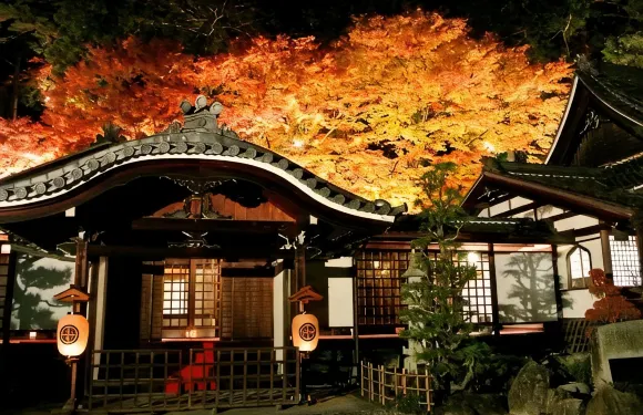 富岳下呂温泉酒店