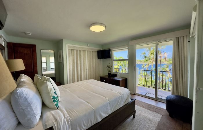 Stunning Estate on almost 2 acres with down island views of St John and the BVI