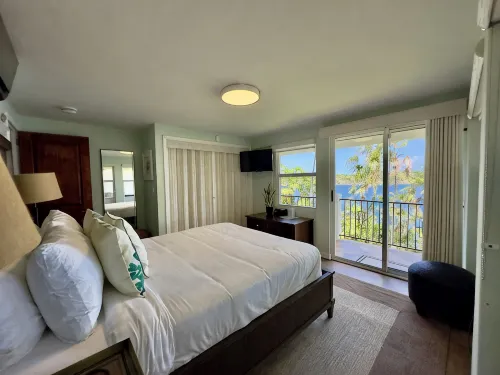Stunning Estate on almost 2 acres with down island views of St John and the BVI - Villaer