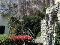 Acqua Dolce Comfortable holiday residence Hotels in Sala Comacina