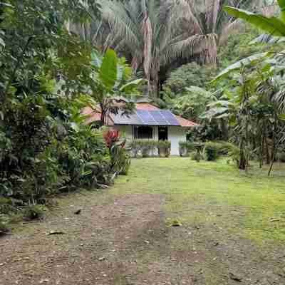 Jungle Casita on Beachfront Property Near Corcovado National Park Hotel Exterior