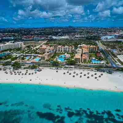 Walk to Eagle Beach – Exclusive 6Br Beachfront Condo with Private Pool & Jacuzzi Others
