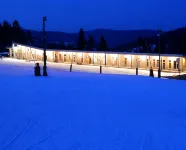 Ideal winter and summer, at the foot of the Gérardmer slopes with terrace, 2km from the lake - 3-Sterne