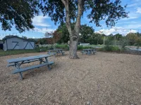 Watauga Flats Farm – A Working Farm Stay with Rustic Charm & Modern Comfort! - 4-Star