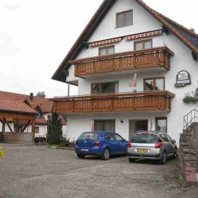 Im Nationalpark Schwarzwald ,gästehaus Central Ferienwohnung 65qm mit Balkon Hotel Exterior